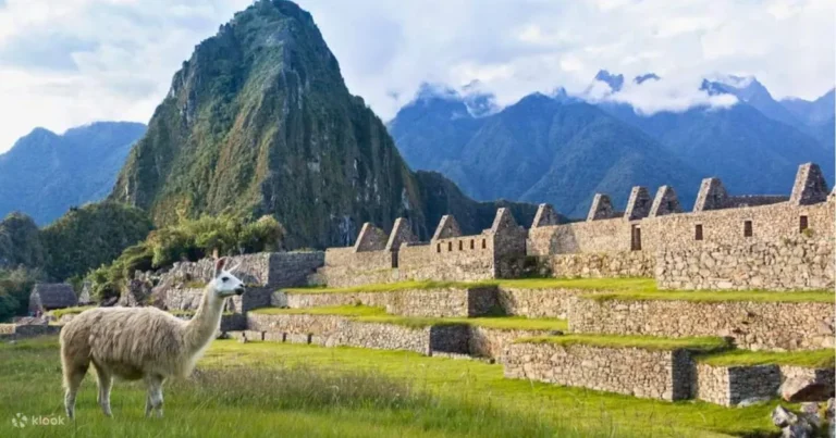 Cusco & Machu Picchu 3 Days 2 Nights Tour by Train